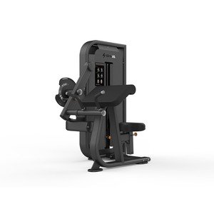 Seated Biceps Curl/Triceps Press SH-G6822